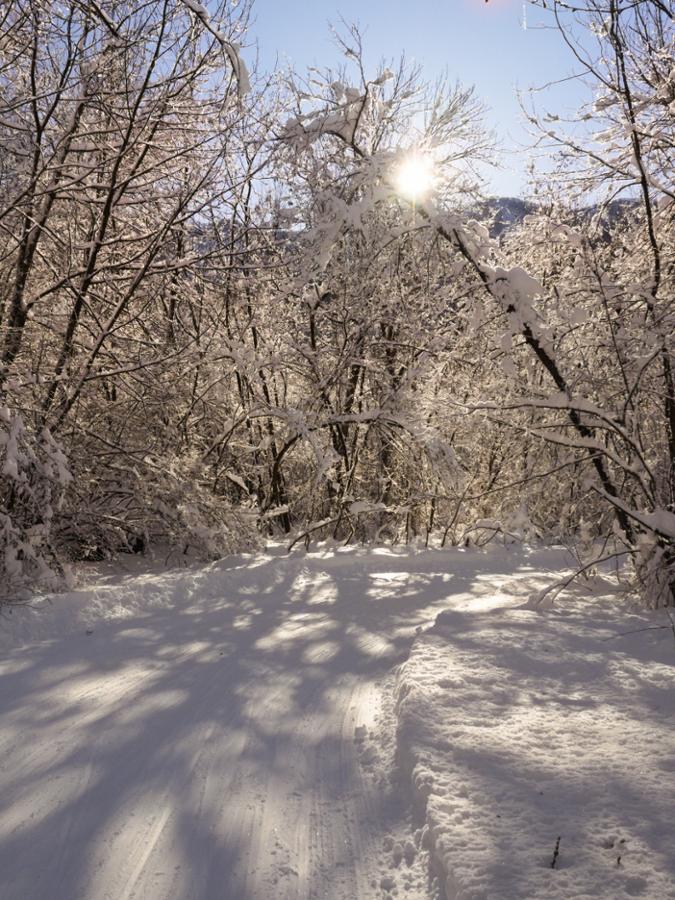 CENTRO FONDO BERGEMOLO